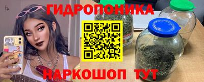 мяу мяу мука Гусев