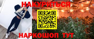 прущие грибы Гусь-Хрустальный