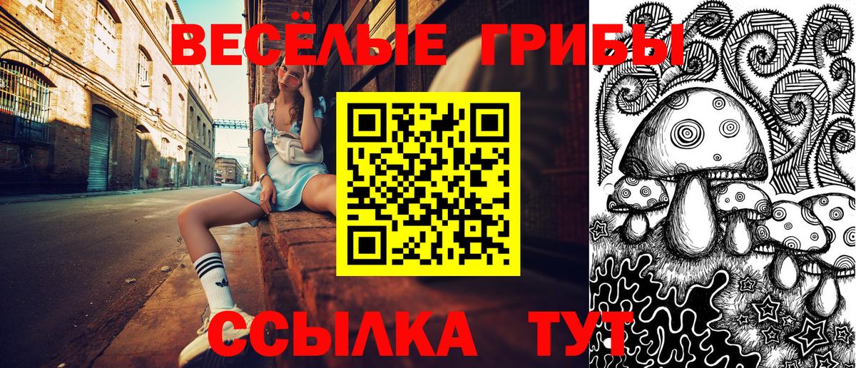 Псилоцибиновые грибы MAGIC MUSHROOMS Костомукша