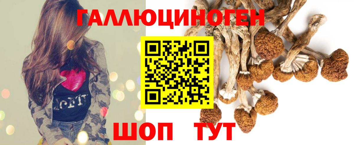 Костомукша  Псилоцибиновые грибы прущие грибы  Вход с VPN 